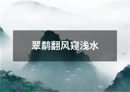 翠鹬翻风窥浅水