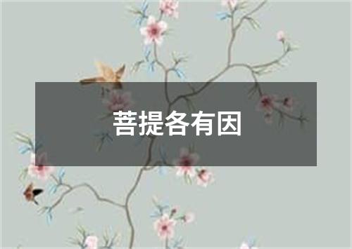 菩提各有因