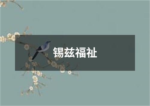 锡兹福祉