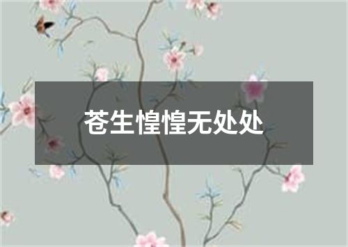 苍生惶惶无处处