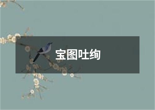 宝图吐绚