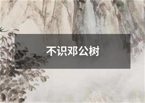 不识邓公树