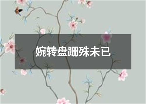 婉转盘跚殊未已