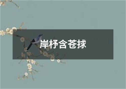 岸杼含苍捄