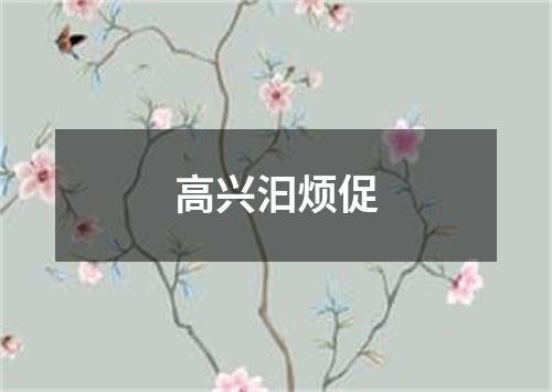 高兴汩烦促