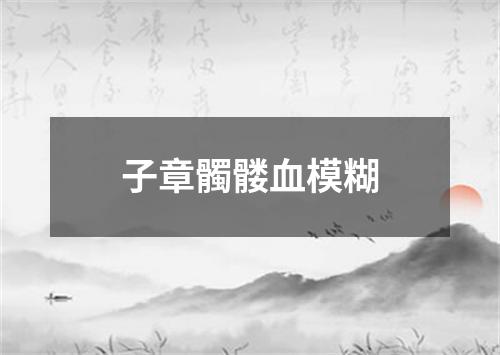 子章髑髅血模糊