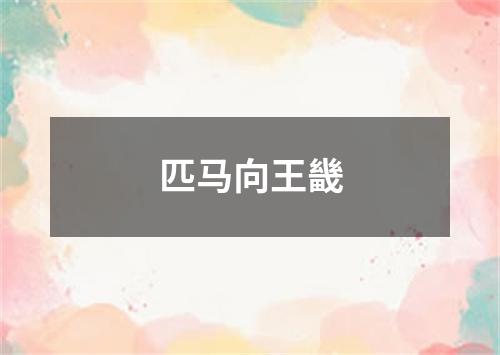 匹马向王畿