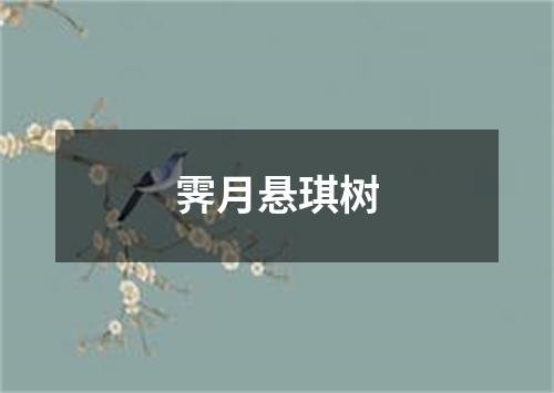 霁月悬琪树