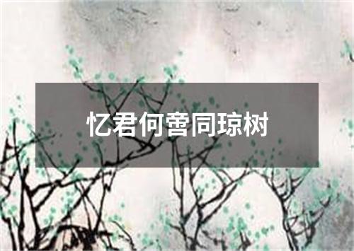 忆君何啻同琼树