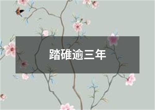 踏碓逾三年