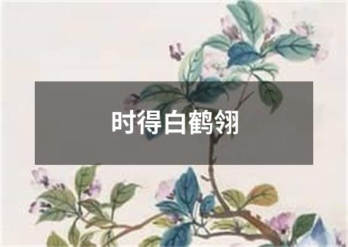 时得白鹤翎