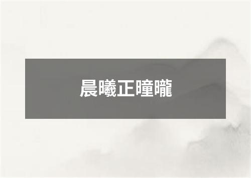 晨曦正曈曨