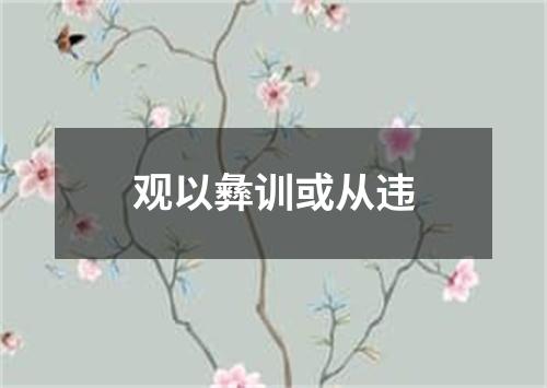 观以彝训或从违