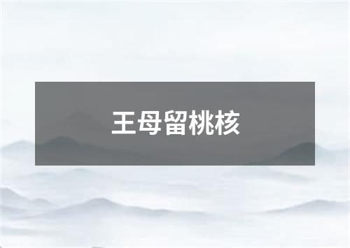 王母留桃核