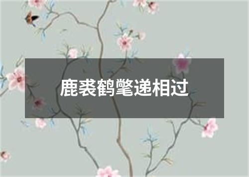 鹿裘鹤氅递相过