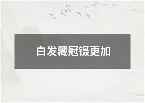 白发藏冠镊更加