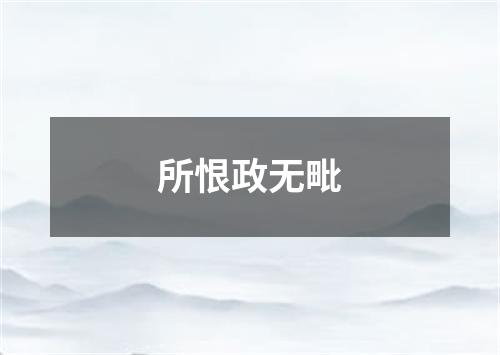 所恨政无毗