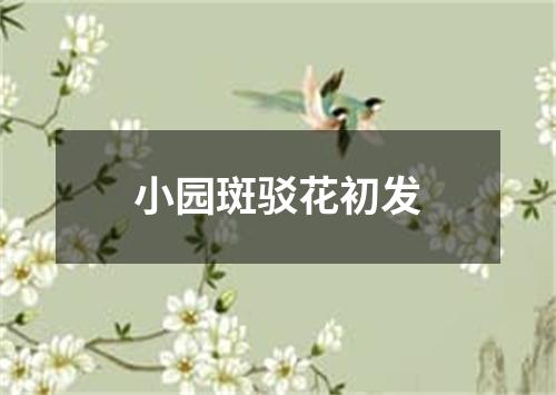 小园斑驳花初发