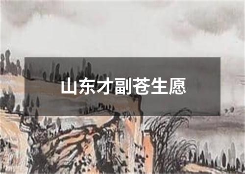 山东才副苍生愿