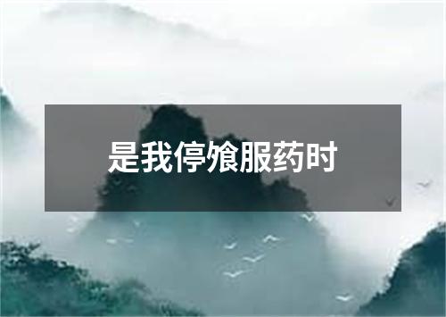 是我停飧服药时