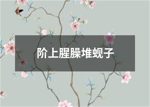 阶上腥臊堆蚬子