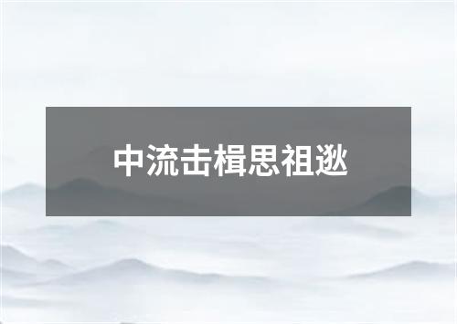 中流击楫思祖逖