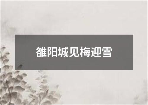 雒阳城见梅迎雪