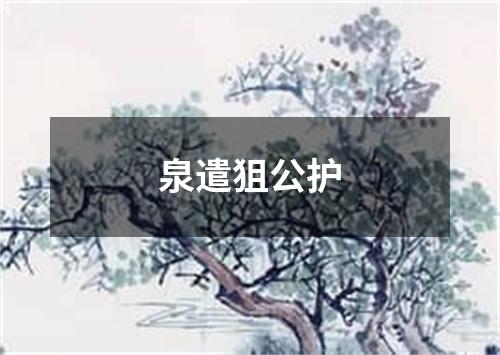 泉遣狙公护