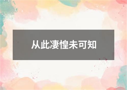 从此凄惶未可知