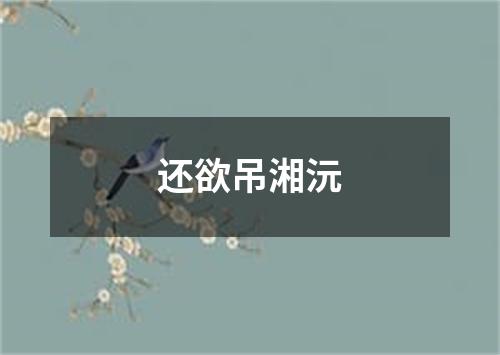 还欲吊湘沅