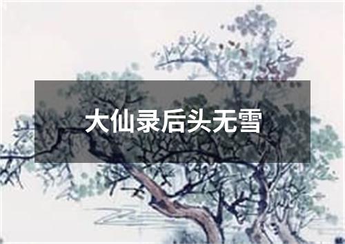 大仙录后头无雪