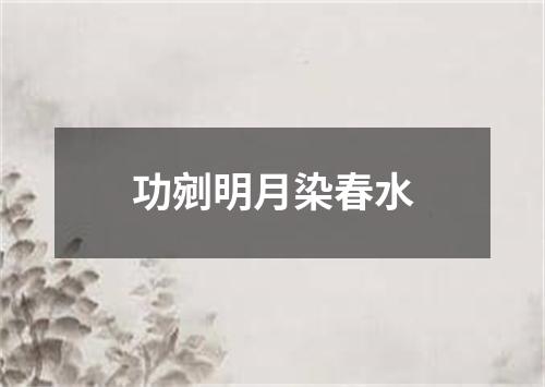 功剜明月染春水