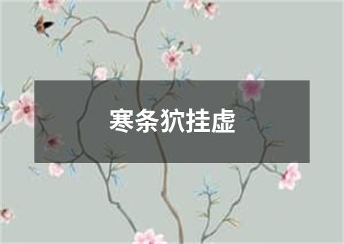 寒条狖挂虚