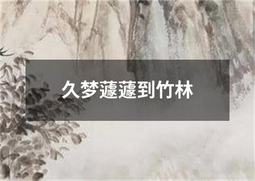 久梦蘧蘧到竹林