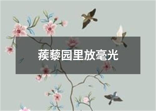 蒺藜园里放毫光