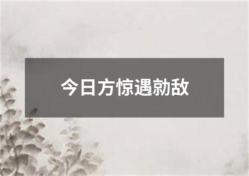 今日方惊遇勍敌