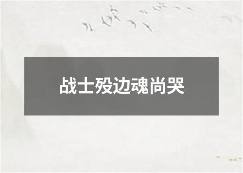 战士殁边魂尚哭