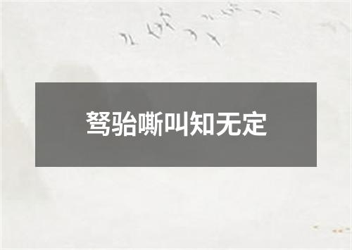 驽骀嘶叫知无定