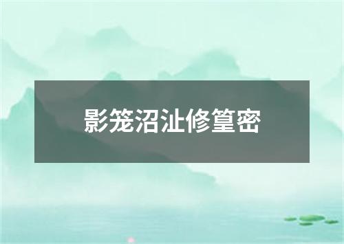 影笼沼沚修篁密