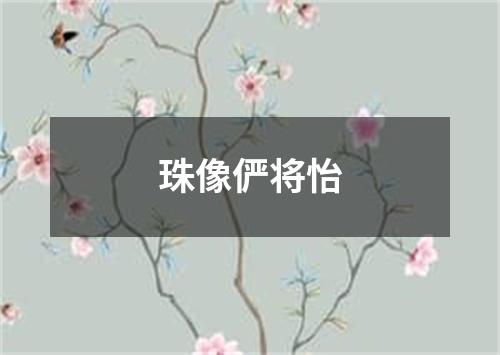 珠像俨将怡