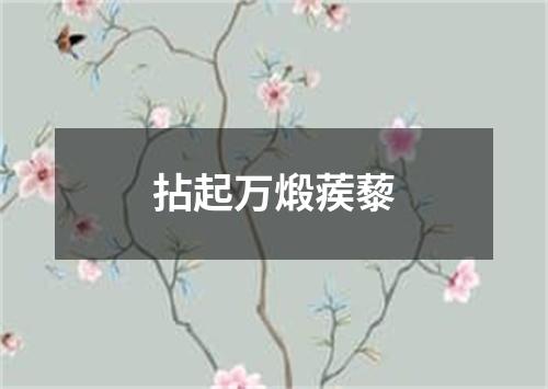 拈起万煅蒺藜