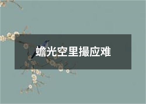 蟾光空里撮应难