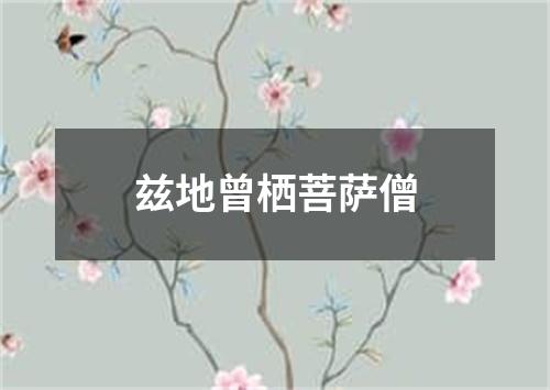 兹地曾栖菩萨僧