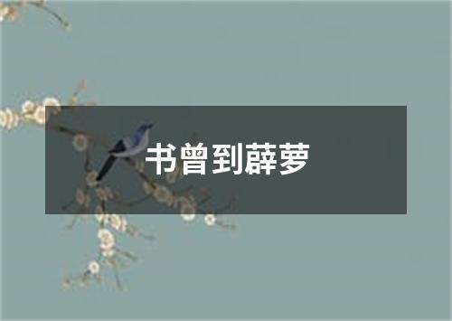 书曾到薜萝