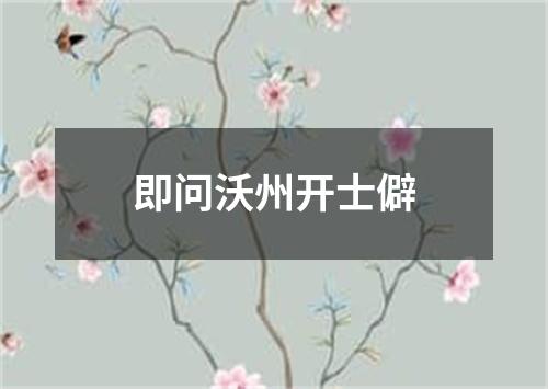 即问沃州开士僻