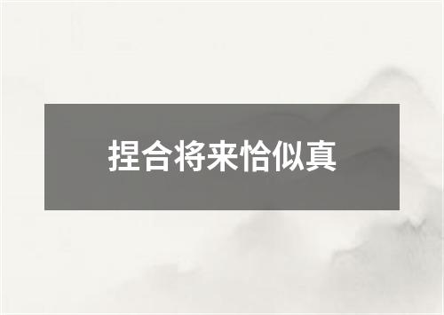 捏合将来恰似真