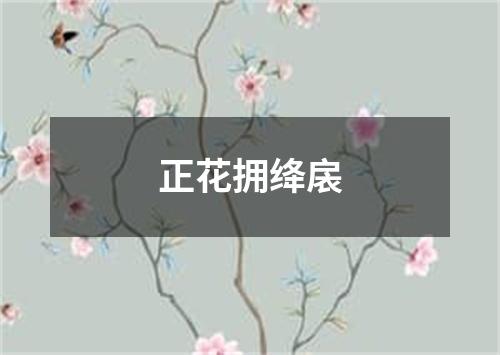 正花拥绛扆