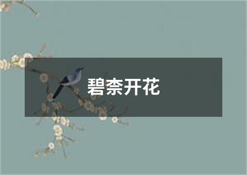 碧柰开花