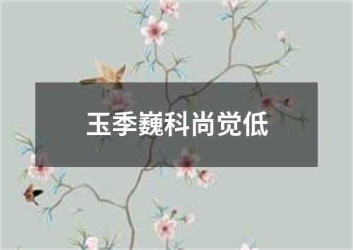 玉季巍科尚觉低