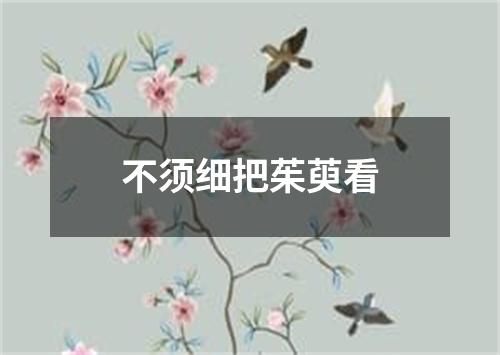 不须细把茱萸看